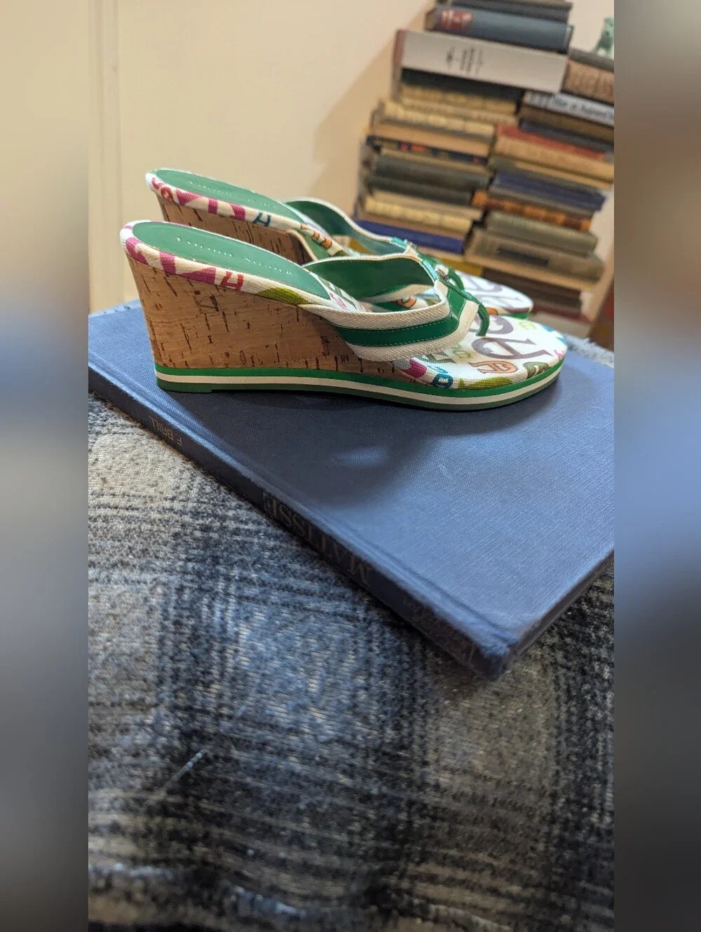 Etienne Aigner Green Multicolor Logo-Print Women's Thong Sandals